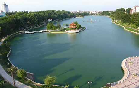 �������Y