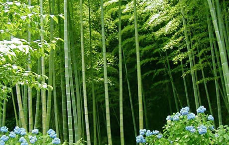 �������Y