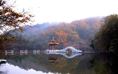 �������Y