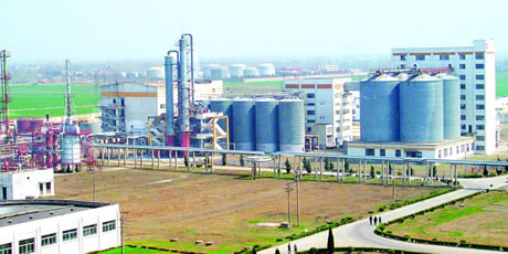 �������Y