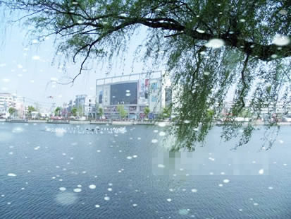 �������Y