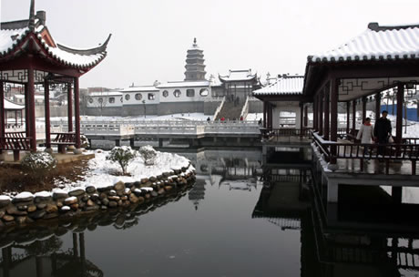 �������Y