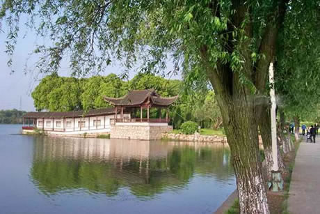 �������Y