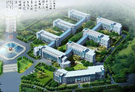 �������Y