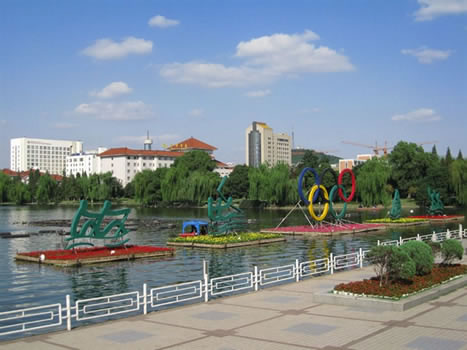 �������Y