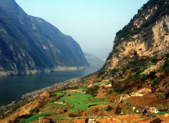 �������Y