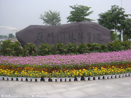 �������Y