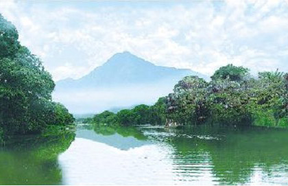 �������Y