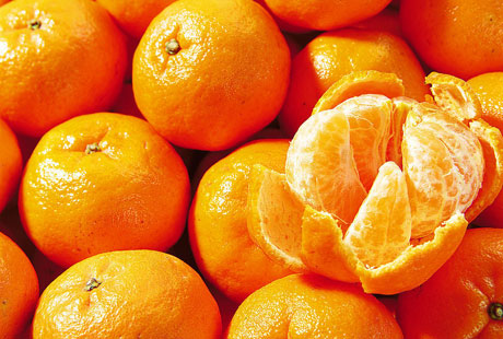 �������Y