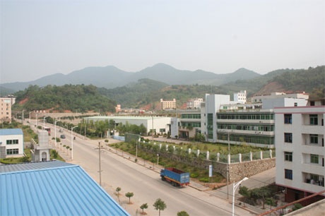 �������Y