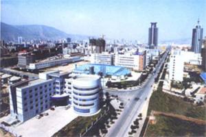 �������Y