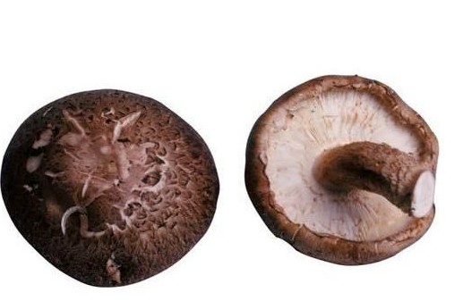 �������Y