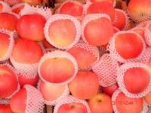 �������Y