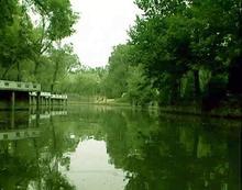 �������Y