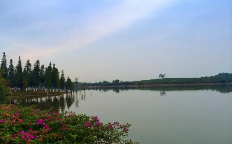 �������Y