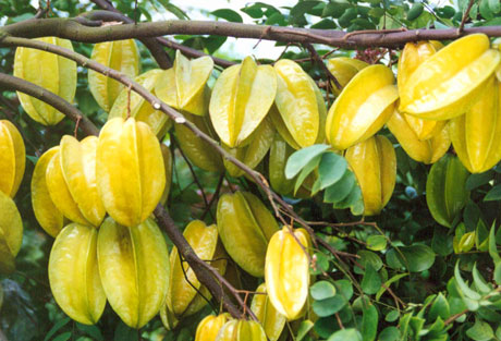 �������Y