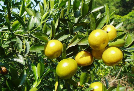 �������Y