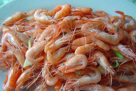 �������Y