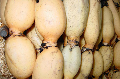 �������Y