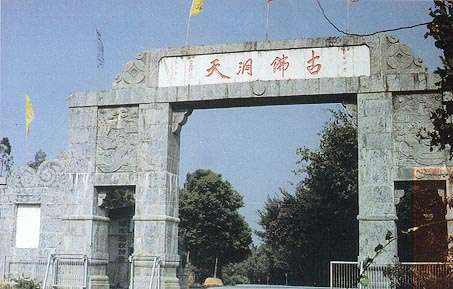 �������Y