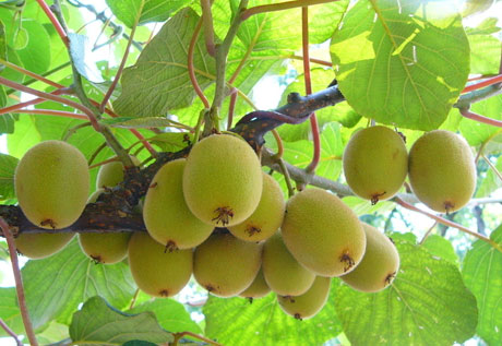 �������Y