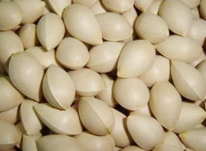 �������Y