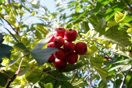 �������Y