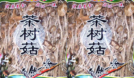 �������Y