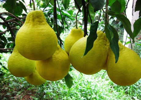 �������Y