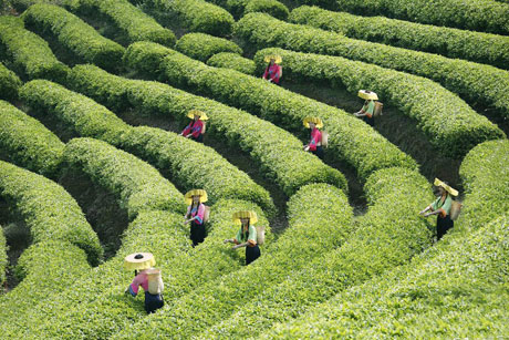 �������Y