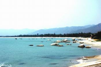 �������Y