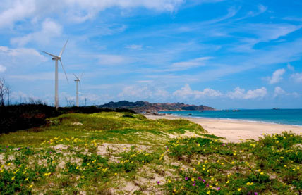 �������Y