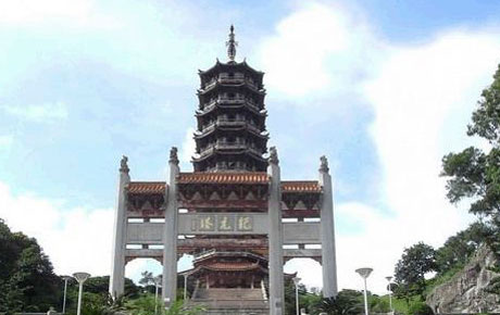 �������Y