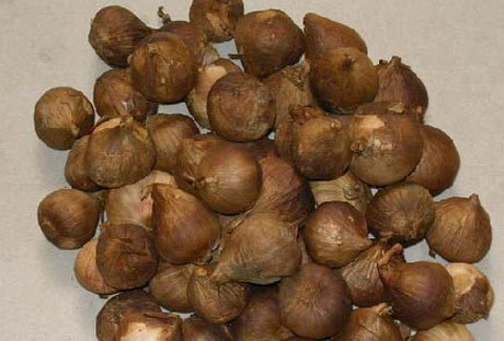 �������Y