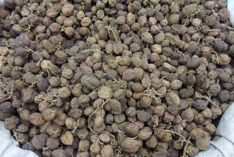 �������Y