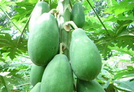 �������Y