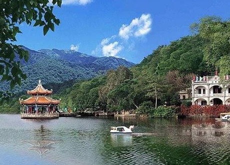 �������Y