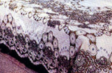 �������Y