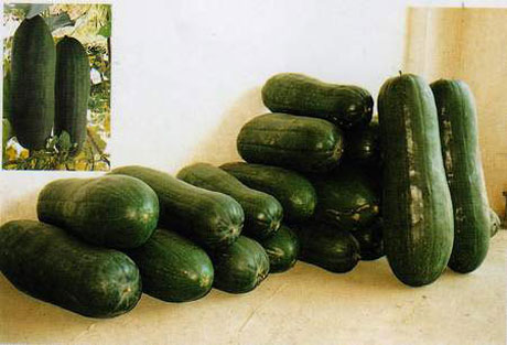 �������Y