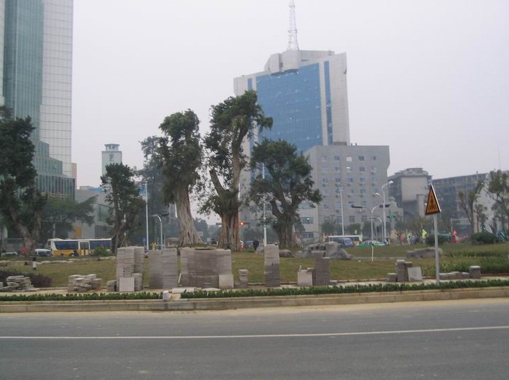 �������Y