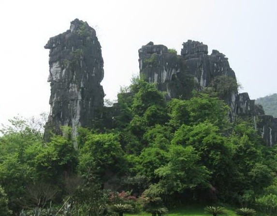 �������Y