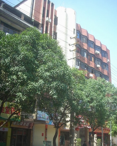 �������Y