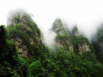 �������Y