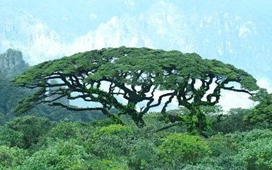 �������Y