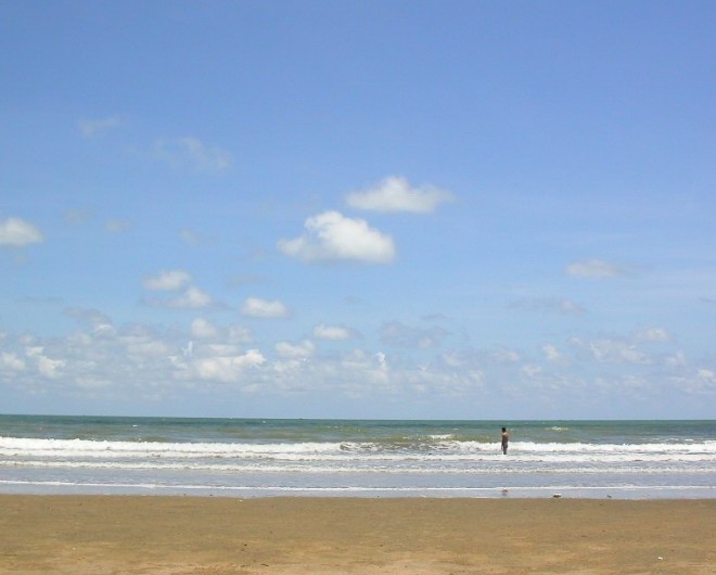 �������Y