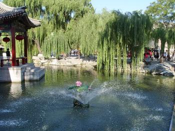 �������Y