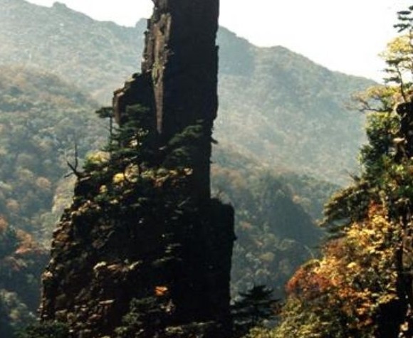 �������Y