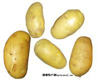 �������Y