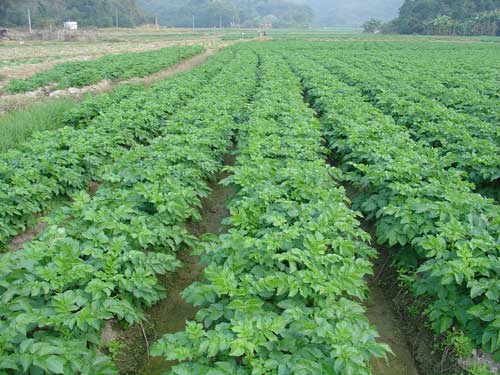 �������Y