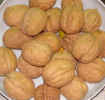 �������Y